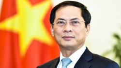 Đại sứ Nguyễn Hồng Thao tái đắc cử ILC: Khẳng định vị thế và uy tín ngày càng cao của Việt Nam trên trường quốc tế