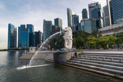 Singapore mở cửa cho thương gia và quan chức nhập cảnh vì ‘không lựa chọn nào khác’