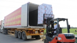 Xuất khẩu ngày 10-14/1: Bộ Công Thương gỡ vướng cho nông sản sang Trung Quốc; 600 tấn cà rốt Hải Dương lên đường sang Hàn Quốc
