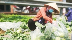 Bộ Công Thương thông tin về những điểm 'chưa phù hợp' khiến nông sản Hải Dương bị ách tắc