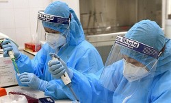 Tối 13/2, cả nước ghi nhận 26.379 ca Covid-19; Hà Nội, Hải Dương và Nam Định cao nhất