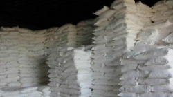 Doanh nghiệp có thể đăng ký trực tuyến nếu muốn xuất khẩu tinh bột vào Trung Quốc