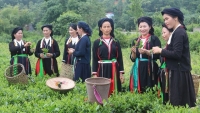 Thái Nguyên hỗ trợ đồng bào dân tộc phát triển kinh tế, cải thiện cuộc sống