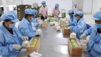 Báo Trung Quốc: RCEP mang đến cơ hội phát triển cho các doanh nghiệp Việt Nam