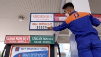 Doanh nghiệp tiếp tục 'gồng mình' với giá xăng dầu