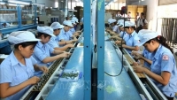 Công ty chứng khoán ASPS ca ngợi ưu thế của thị trường Việt Nam