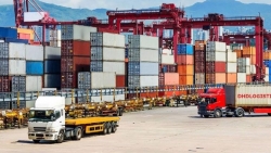 Bài học cho doanh nghiệp xuất khẩu Việt: Hớ hênh câu chuyện thanh toán