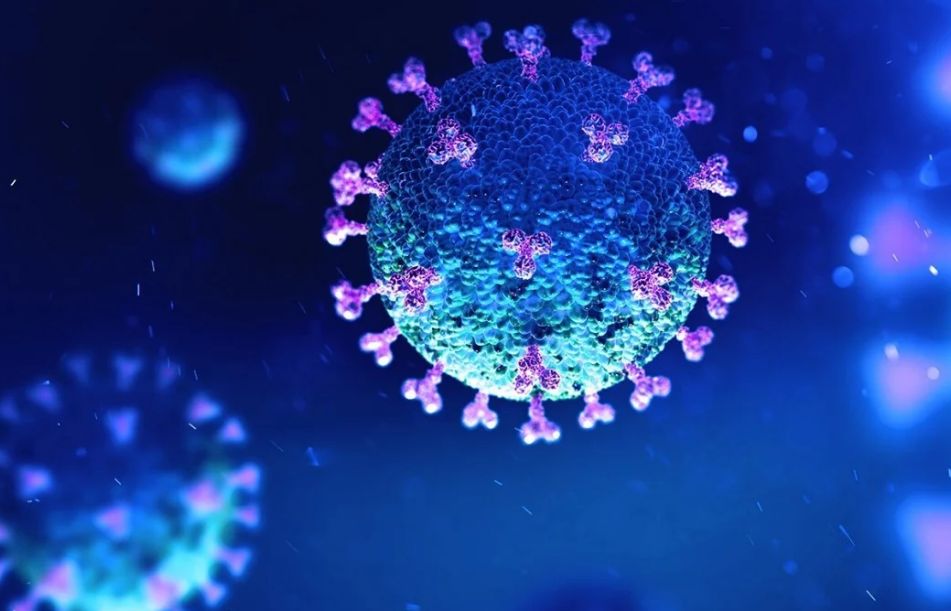 Phát hiện mới. Tế bào miễn dịch ở người khỏe mạnh có khả năng tìm diệt virus SARS-CoV-2