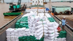 Doanh nghiệp cần lưu ý gì khi xuất khẩu gạo sang thị trường ASEAN