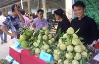 Đà Nẵng đăng cai AgroViet 2018
