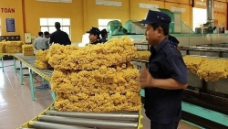 Xuất khẩu ngày 10-12/6: Châu Phi vẫn 'khát' nông sản Việt; động lực mới từ các FTA