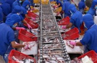 Căng thẳng thương mại Mỹ - Trung: Doanh nghiệp chủ động đối phó