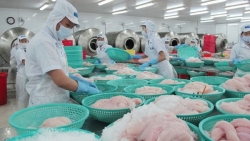 Điều kiện miễn chứng từ chứng nhận xuất xứ hàng hóa trong Hiệp định EVFTA doanh nghiệp cần lưu ý
