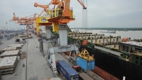 Xuất khẩu ngày 18-22/7: Tận dụng EVFTA để hạt điều Việt 'vững chân' tại Pháp; kim ngạch xuất nhập khẩu vượt mức 400 tỷ USD