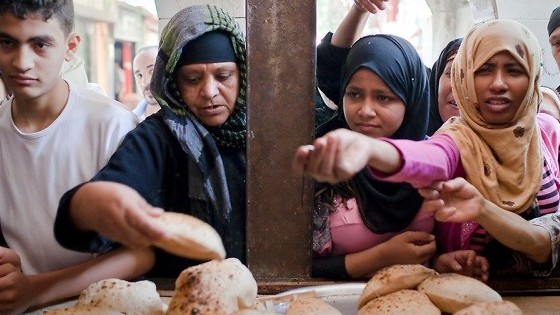 Không phải xung đột Nga-Ukraine, đây mới là 'thủ phạm' gây ra khủng hoảng lương thực toàn cầu