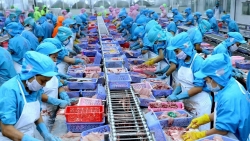 Hàng thủy sản Việt Nam hấp dẫn doanh nghiệp Quảng Châu, Trung Quốc