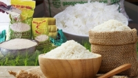Xuất khẩu ngày 29-31/7: Giải mã sức hút của gạo Việt; thương vụ 'tiếp sức' cho doanh nghiệp thâm nhập thị trường
