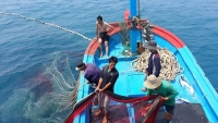 Xuất khẩu ngày 12-14/8: Ngành thủy sản có nguy cơ mất 500 triệu USD/năm vì thẻ vàng IUU; xuất khẩu cá tra sang Mexico khởi sắc