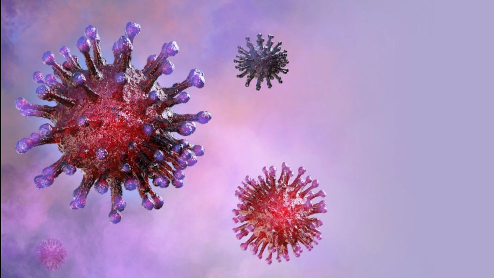 Virus SARS-CoV-2 có độ đàn hồi vật lý đáng kinh ngạc