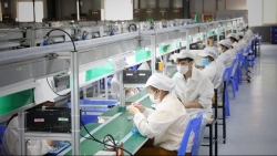 WB hạ dự báo tăng trưởng kinh tế Việt Nam năm 2021 xuống 2-2,5%