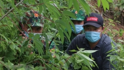 Bộ đội Biên phòng tỉnh Điện Biên: Cuộc chiến không khoan nhượng với tội phạm ma túy