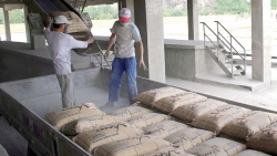 Xuất khẩu ngày 23-25/10: Nhóm hàng xuất khẩu trên 1 tỷ USD 'vững vàng'; hàng Việt Nam gặp 'khó' vì điều tra, phòng vệ thương mại gia tăng