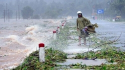 ADB viện trợ 2,5 triệu USD hỗ trợ Việt Nam ứng phó thiên tai