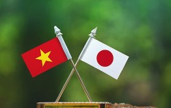 Dấu ấn hợp tác kinh tế, thương mại Việt Nam - Nhật Bản