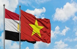Quan hệ Việt Nam-Ai Cập đang ngày càng bền chặt