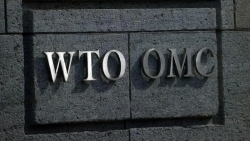Kiện lên WTO, EU đòi Nga bồi thường gần 300 tỷ Euro vì 'phân biệt đối xử' với hàng châu Âu