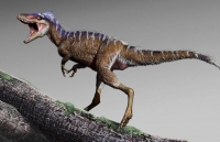 Giới khoa học nêu nguyên nhân dẫn đến khủng long bị tuyệt chủng