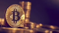 Square mạnh tay 'đổ tiền', Bitcoin lại vượt 50.000 USD