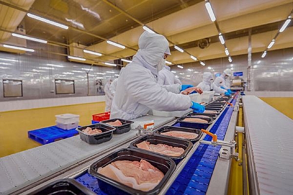 Giá heo hơi hôm nay 6/3: Miền Bắc đồng loạt đi ngang, miền Nam giảm từ 1.000-2.000 đồng/kg