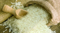 Xuất khẩu ngày 9-12/3: ‘Nốt trầm’ gạo xuất ngoại; cao su tăng vọt gần 90% và tôm Việt chiếm lĩnh thị trường Nhật