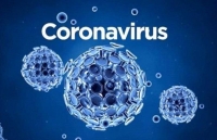 Cố vấn Nhà Trắng dự báo thời điểm sản xuất thuốc điều trị viêm phổi cấp do virus corona
