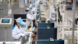 22% doanh nghiệp Nhật Bản sẽ cắt giảm tuyển dụng mới trong tài khóa 2022