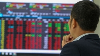 Cổ phiếu rớt thảm, nhà đầu tư 'đứng ngồi không yên', Ủy ban Chứng khoán Nhà nước gửi thông điệp nóng