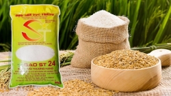 Xuất khẩu ngày 19-21/6: Hai mặt hàng cán mốc 20 tỷ USD, thép Việt đi EU tăng gấp 5 lần, gạo ST24 xuất khẩu tăng 'phi mã'