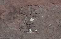 Các nhà khoa học tìm thấy hình Đức Phật khắc trên đá ở Siberia, Nga