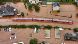 Lũ lụt ở châu Âu và Trung Quốc 'giáng đòn mạnh' vào chuỗi cung ứng toàn cầu