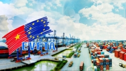 Hai năm thực thi EVFTA: Việt Nam và châu Âu cùng thắng!