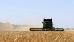26.000 tấn ngũ cốc đầu tiên của Ukraine đang trên đường đến Lebanon