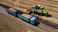 Thỏa thuận ngũ cốc 'gỡ khó' cho cả Nga và Ukraine