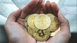 Tiền điện tử hôm nay 7/9: Bitcoin bất ngờ quay đầu tăng, thị trường nổi sóng