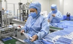 Tìm hướng xuất khẩu nông sản và dụng cụ y tế Việt Nam vào thị trường Malaysia