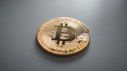 Tiền điện tử hôm nay 25/9: Tăng mạnh, liệu Bitcoin có sớm chinh phục vùng giá 11.000 USD?