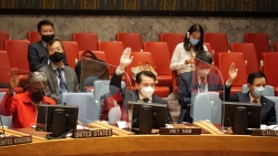 Hội đồng Bảo an thông qua 2 nghị quyết về Afghanistan và Iraq, thảo luận tình hình tại Somalia