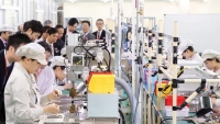 Việt Nam sở hữu 'bảo bối' nào khiến doanh nghiệp Nhật Bản chọn làm bến đỗ?