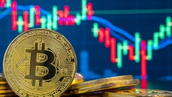 Tiền điện tử hôm nay 1/10: Bitcoin giảm 0,67%, thị trường 'nín thở' chờ bầu cử Mỹ 2020