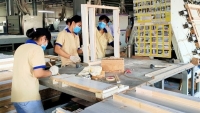 Xuất khẩu ngày 2-4/10: Giá gạo bật tăng, tin vui cho ngành gỗ, 5 điều lưu ý khi kinh doanh tại EU